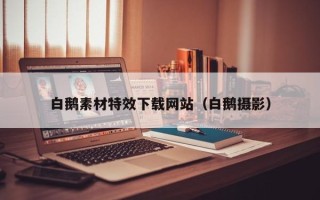衡东白鹅素材特效下载网站（白鹅摄影）